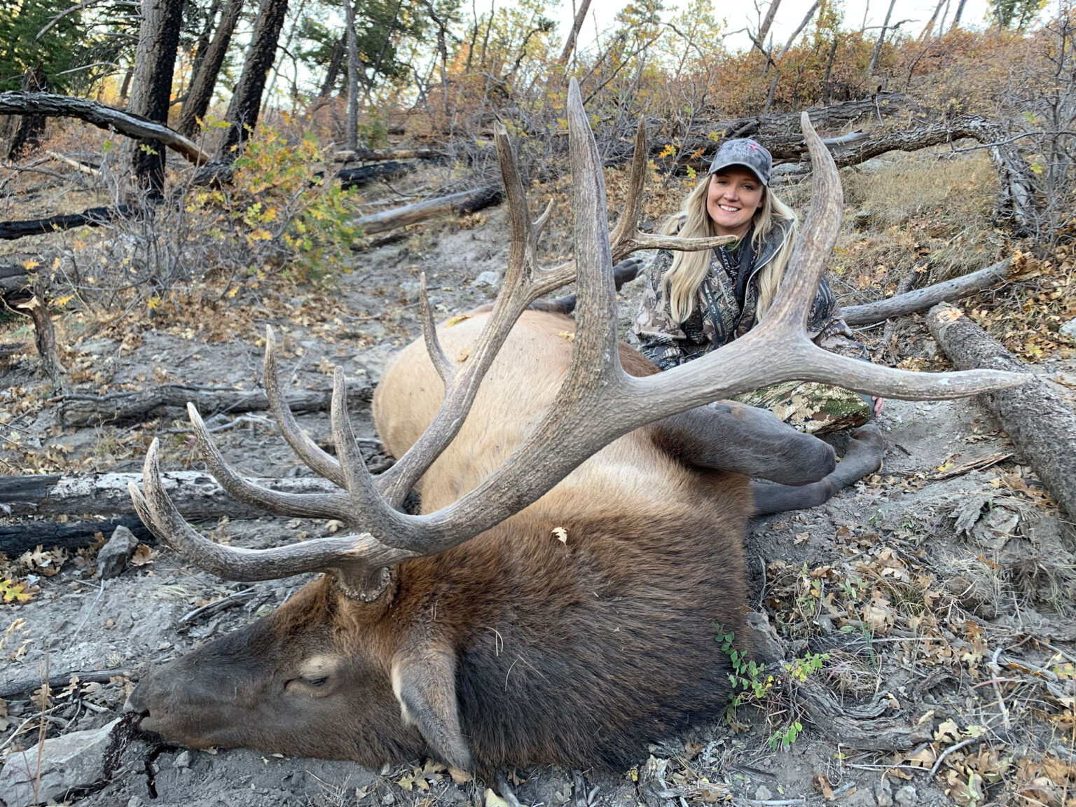 Trophy Gallery New Mexico Trophy Hunts