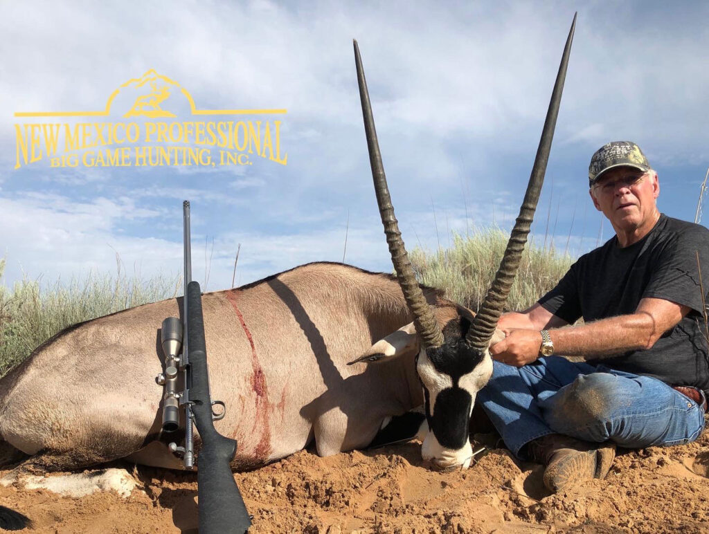 2C3098F5-EE1D-4D22-B556-874929A34796