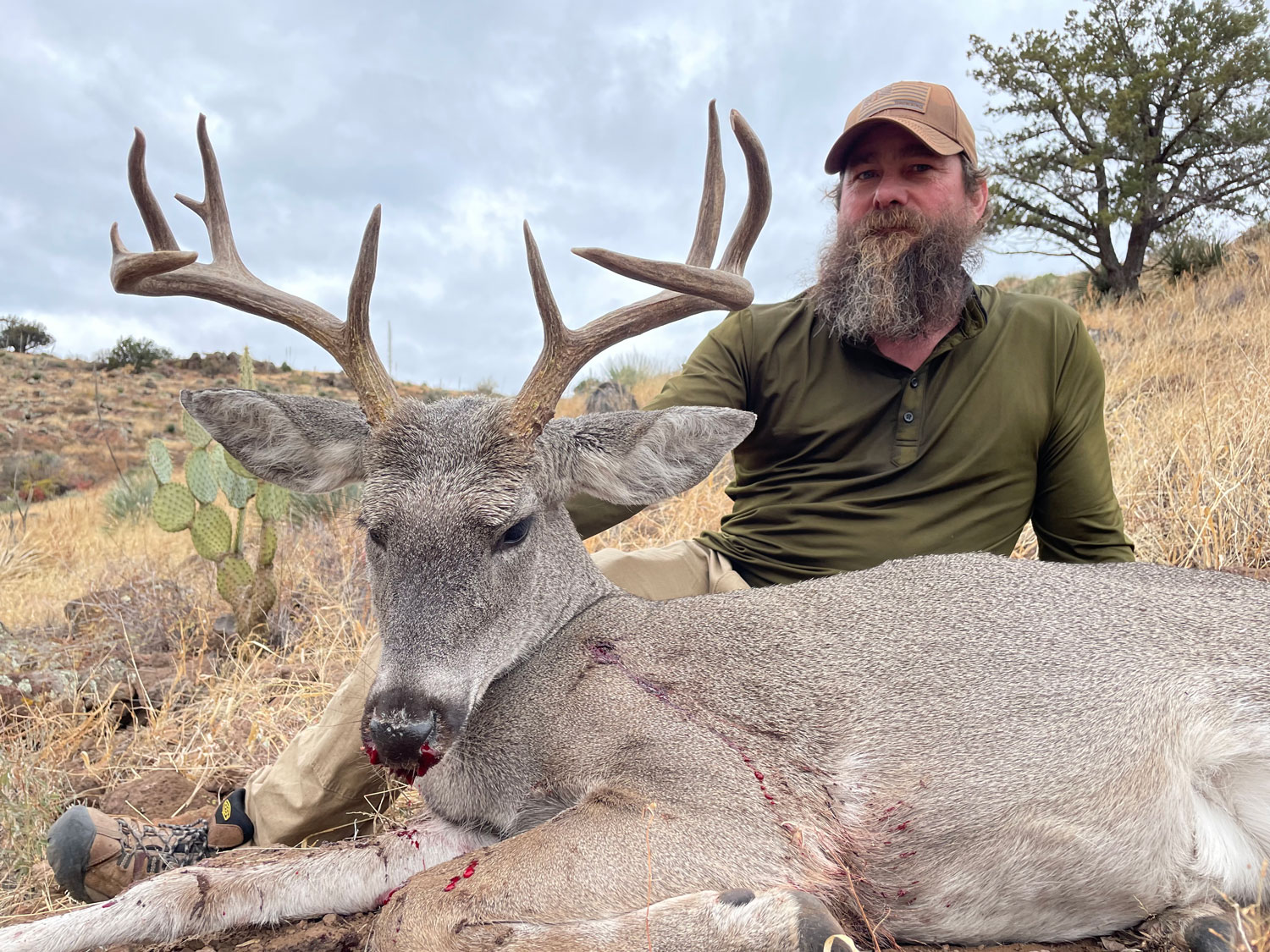 New Mexico Trophy Hunts | Trip Planner