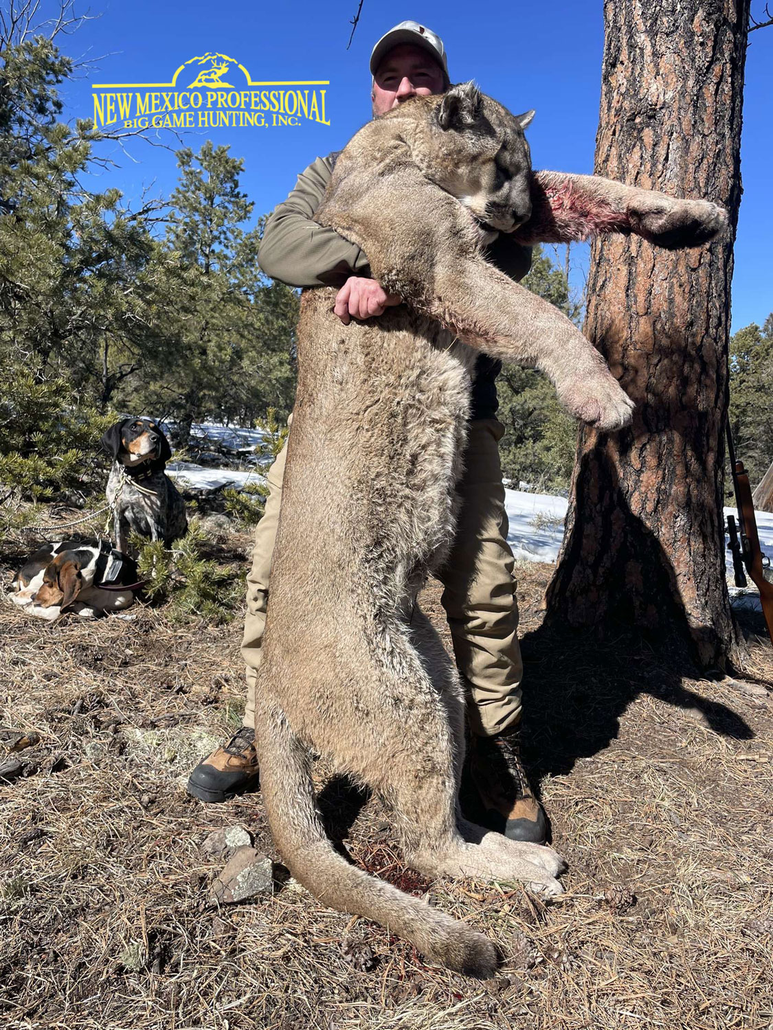 Hunting Packages - New Mexico Trophy Hunts